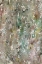 Picture of ABSTRACT BARK I