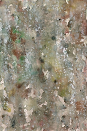 Picture of ABSTRACT BARK II