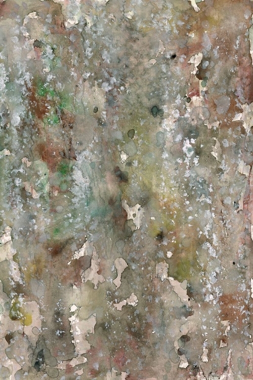 Picture of ABSTRACT BARK II