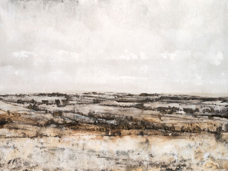 Picture of EMBELLISHED DISTANT VALLEY I