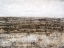 Picture of EMBELLISHED DISTANT VALLEY II