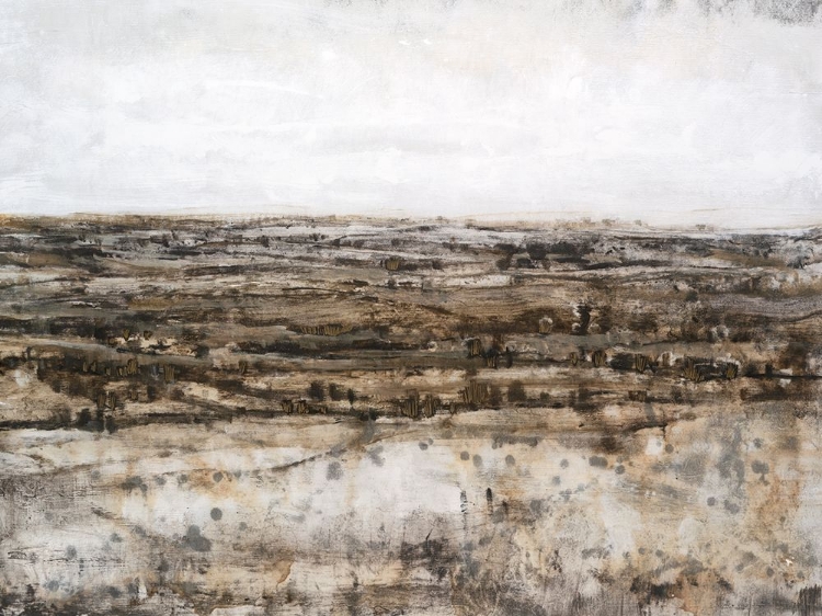 Picture of EMBELLISHED DISTANT VALLEY II