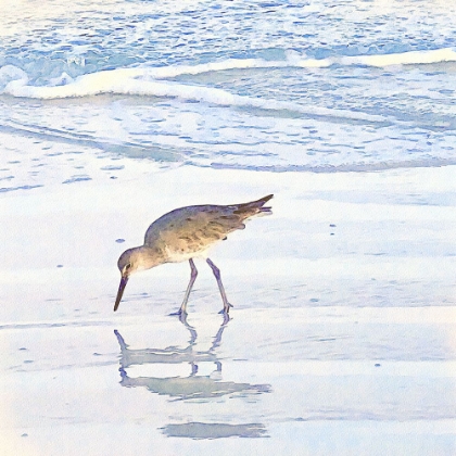 Picture of SANDPIPER DREAMS I