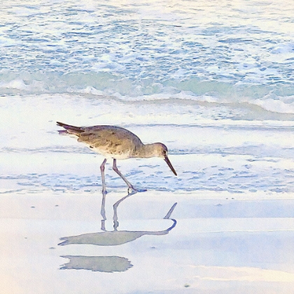 Picture of SANDPIPER DREAMS II