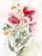 Picture of ROSE MADDER BOTANICAL I