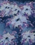 Picture of HIDDEN BLOOMS I