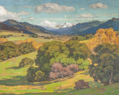 Picture of YELLOW OCHRE VALLEY II