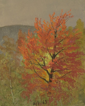 Picture of AUTUMN TREE STUDIES III