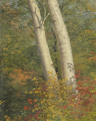 Picture of AUTUMN TREE STUDIES IV