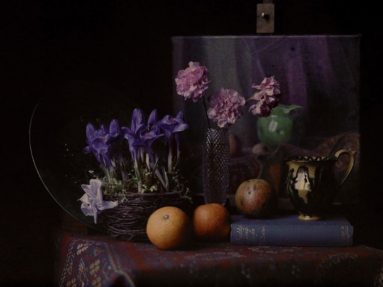 Picture of MOODY STILL LIFE  V