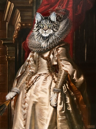 Picture of DRESSED UP MAINECOON CAT