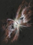 Picture of DISTANT NEBULA III