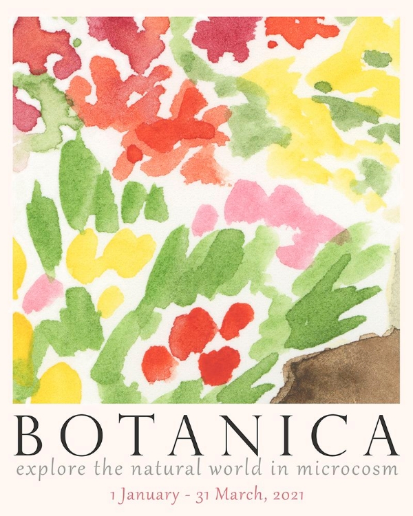 Picture of BOTANICA EXHIBITION POSTER IV