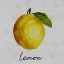 Picture of SUMMERTIME CITRUS II
