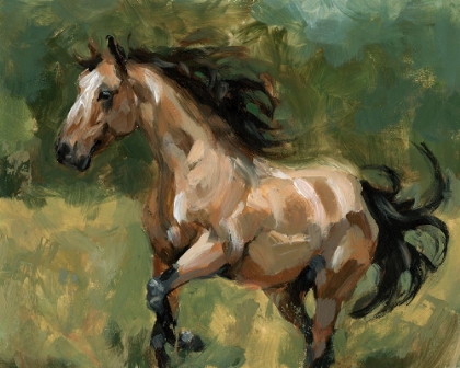 Picture of FREE CANTER II