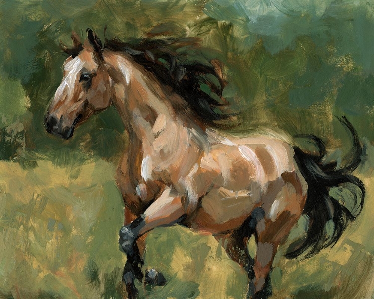 Picture of FREE CANTER II