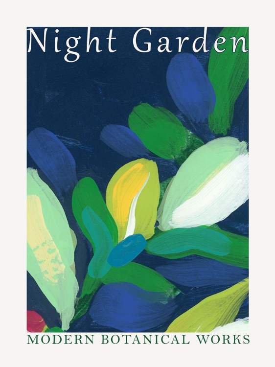 Picture of NIGHT GARDEN EXHIBITION POSTERS II