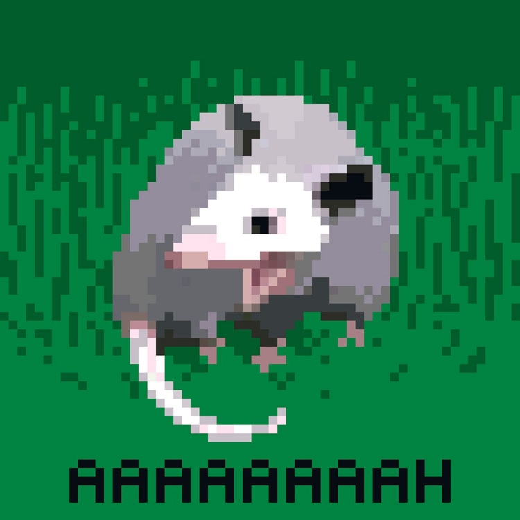 Picture of OPOSSUM PANIC I