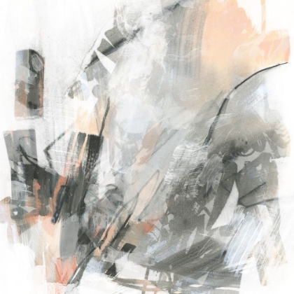 Picture of FIZZY LITMUS II