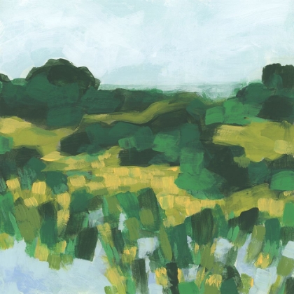 Picture of EMERALD MARSH VALLEY II