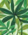 Picture of TROPICAL ISLAND LEAVES I