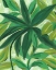 Picture of TROPICAL ISLAND LEAVES II
