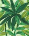 Picture of TROPICAL ISLAND LEAVES II