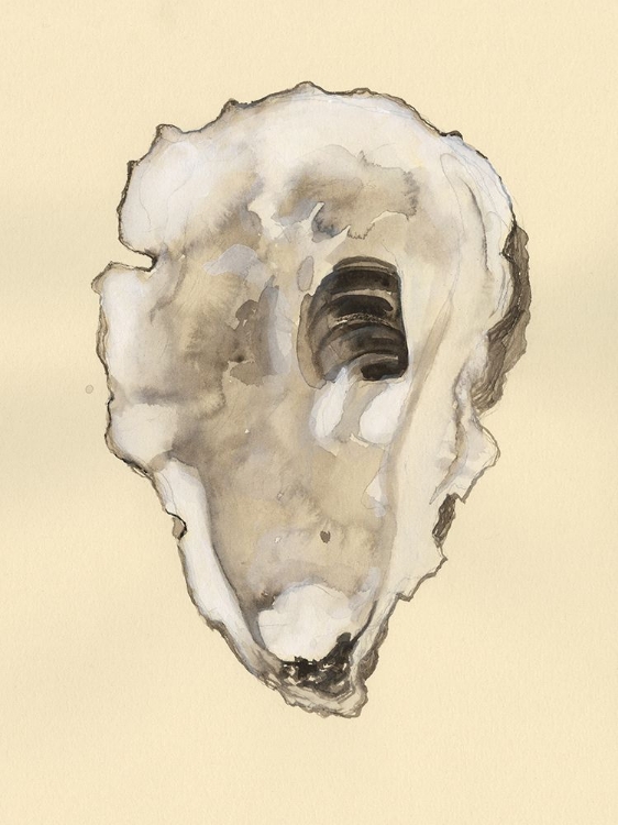 Picture of SEPIA-TONED OYSTERS I