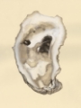 Picture of SEPIA-TONED OYSTERS II