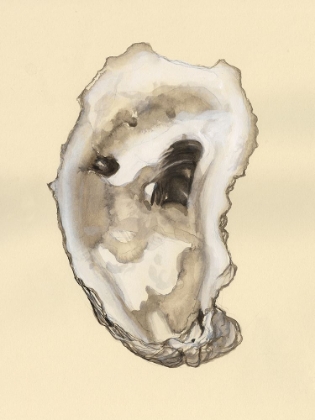 Picture of SEPIA-TONED OYSTERS II