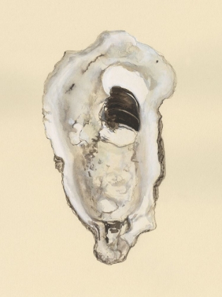 Picture of SEPIA-TONED OYSTERS III