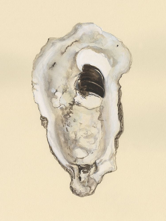 Picture of SEPIA-TONED OYSTERS III