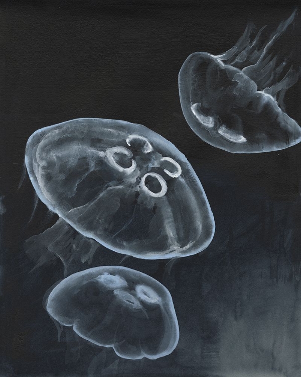 Picture of JELLYFISH HEAVEN I