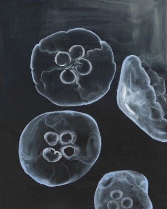 Picture of JELLYFISH HEAVEN II