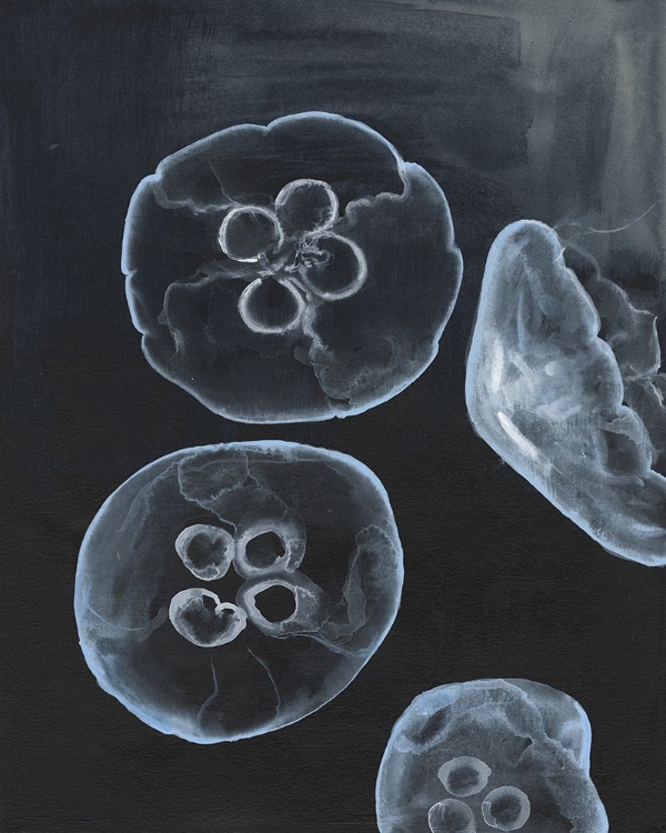 Picture of JELLYFISH HEAVEN II