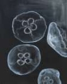 Picture of JELLYFISH HEAVEN II