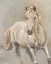 Picture of MAJESTIC WHITE STALLION I