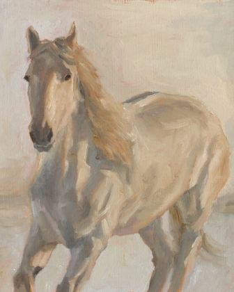 Picture of MAJESTIC WHITE STALLION II