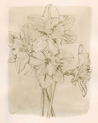 Picture of SPRING PROMISES I