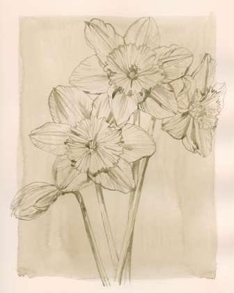 Picture of SPRING PROMISES II