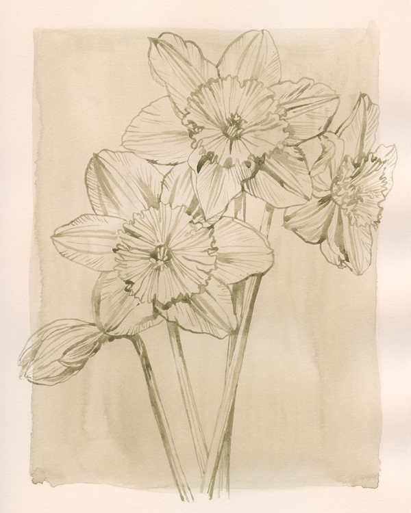 Picture of SPRING PROMISES II