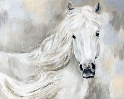 Picture of ETHEREAL EQUINE PORTRAIT I