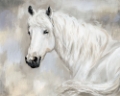 Picture of ETHEREAL EQUINE PORTRAIT II