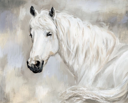 Picture of ETHEREAL EQUINE PORTRAIT II