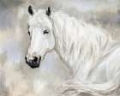 Picture of ETHEREAL EQUINE PORTRAIT II