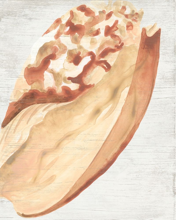 Picture of VINTAGE SHELL VIGNETTE I