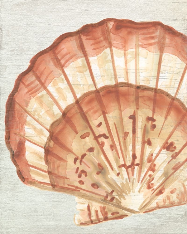 Picture of VINTAGE SHELL VIGNETTE II