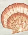 Picture of VINTAGE SHELL VIGNETTE II
