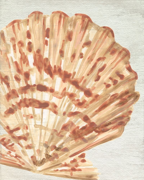 Picture of VINTAGE SHELL VIGNETTE III