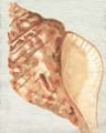 Picture of VINTAGE SHELL VIGNETTE IV